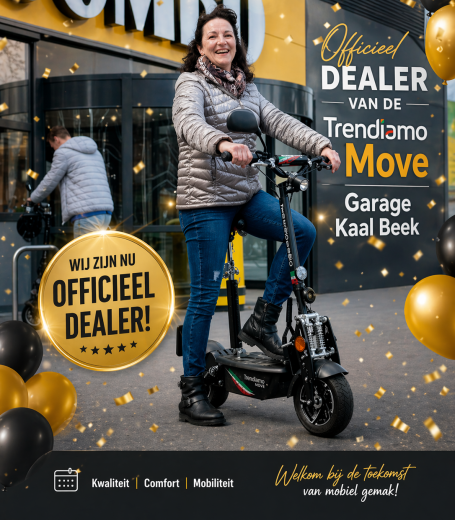 Trendiamo Move: Jouw Mobiliteit Oplossing